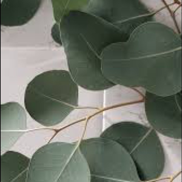 Meet your Posher, Madelyn - Picture 1 of 1